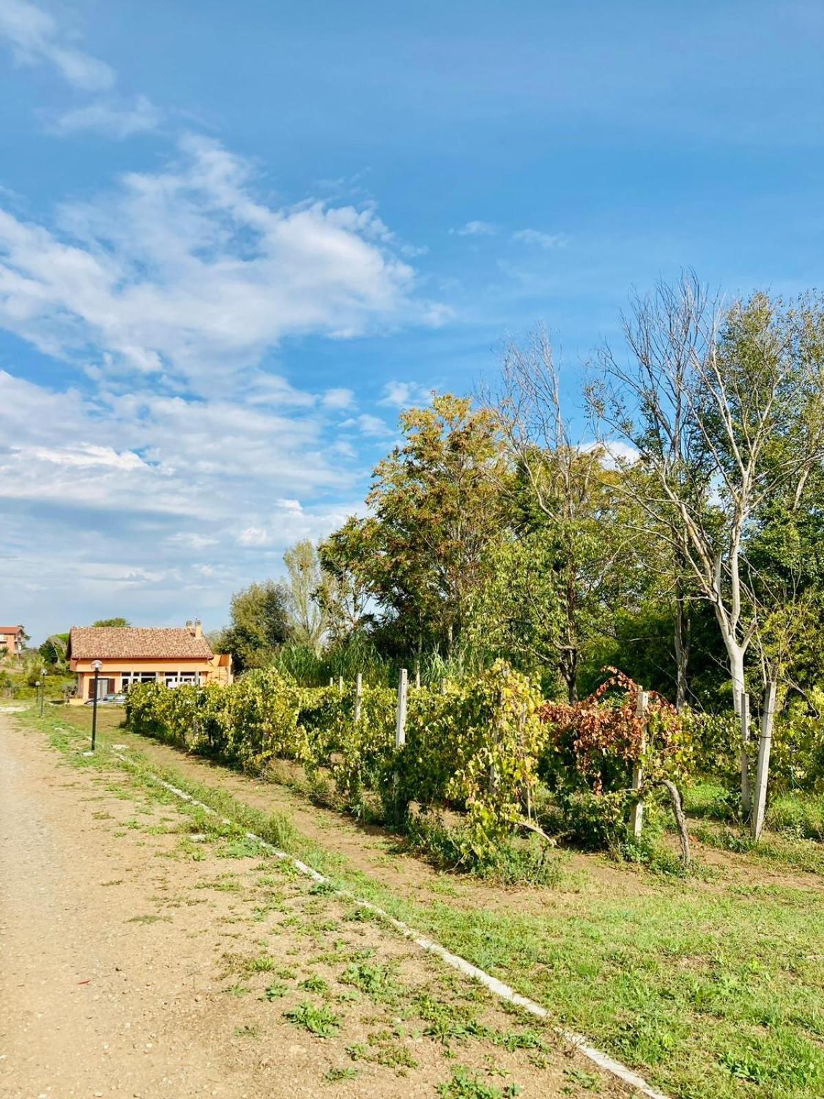Bubu, Country-chic Roma
